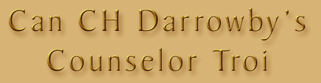 darrowbys_counselor