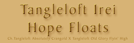 tangleloftireihopefloats